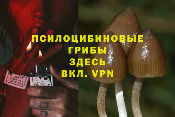 МДПВ Арсеньев